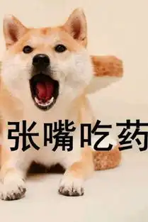 日本逝世柴犬超萌表情包永远活在我们的微信中
