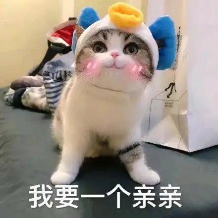 猫咪表情包我要一个亲亲

