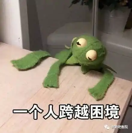 单身的你一天到底干啥呢
