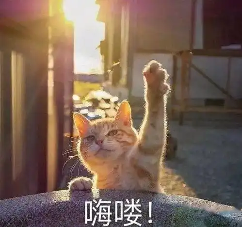 点赞忠县这些社区入选首批市级乡村旅游重点村

