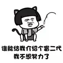 搞笑gif抖音谁有富婆介绍几个我不想努力了表情包
