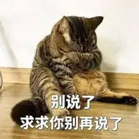 好了好了知道了表情包
