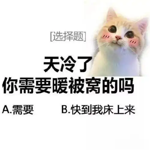 适合天气变冷发的朋友圈沙雕文案
