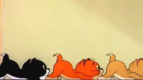 猫和老鼠汤姆开上战斗机,三只小猫被玩坏,杰瑞却被针对了
