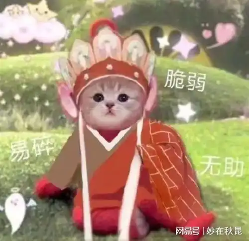 男孩子出门在外要保护好自己,特别是
