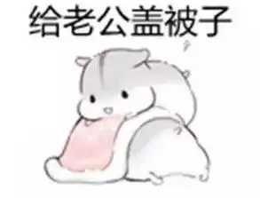 讨好老婆表情包
