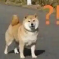 男朋友拍照总是丑到没眼看,这回找到原因了.......

