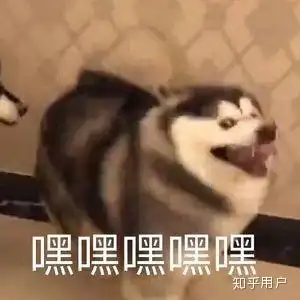 有没有推荐的脱毛膏或者脱毛喷雾之类的东西
