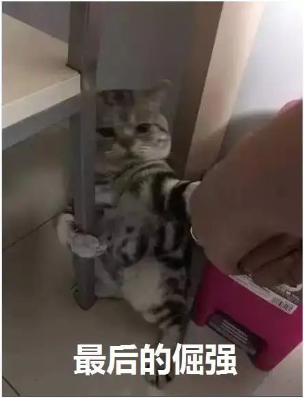 从少林武僧到次世代模型师,这个18岁的曼德沃克员工,我实名安利
