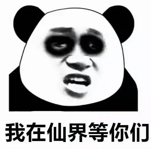 修仙表情包不睡觉修仙表情包黑眼圈熊猫修仙表情包
