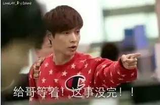 exo表情带字图全部的

