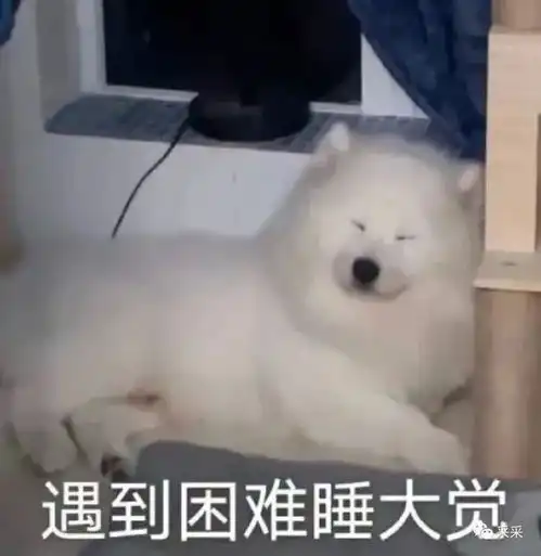 你完成今年的目标了吗段子
