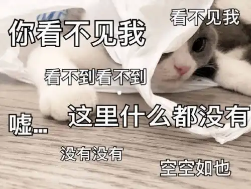 论文答辩表现等级从青铜到王者
