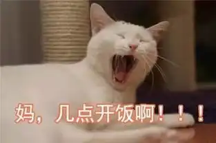 侃侃topic11今天我用吐槽来爱你
