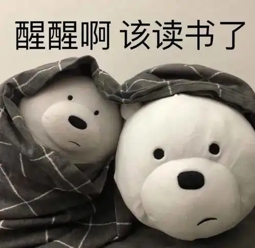 好好学习表情包
