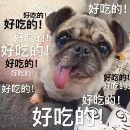 小狗表情包可爱动态
