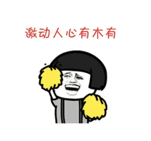 飞腿表情包暴风少年