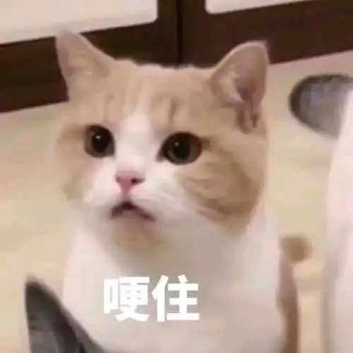海外女子声称与迈克尔杰克逊的灵魂恋爱多年,自己还是梦露转世
