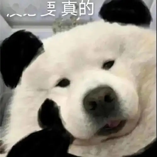 当代年轻人的理解能力
