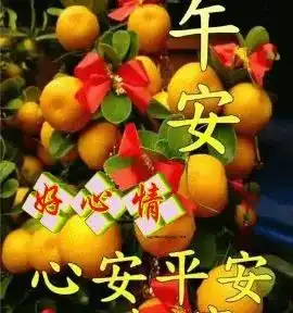 中午好动态祝福表情图片,隔屏问候,午安顺心愉快
