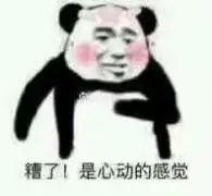 我喜欢的男神居然是个gay怎么办,我还在嗑他和他对象的cp
