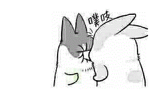 qq微信表情包卖萌神器聊天专用
