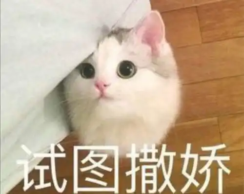 坐公交车公交卡用不了售票员还不让我下载app
