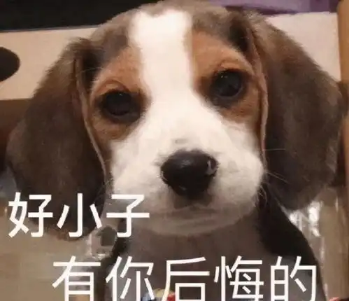 赔碗10万网友帮这只狗狗维权
