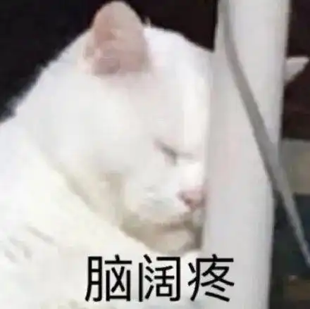 当代养猫人的真实瞬间...快把我家摄像头拆了
