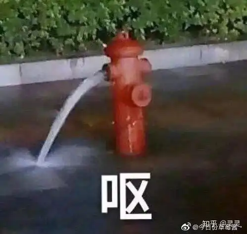 你用过最牛掰的表情包是什么
