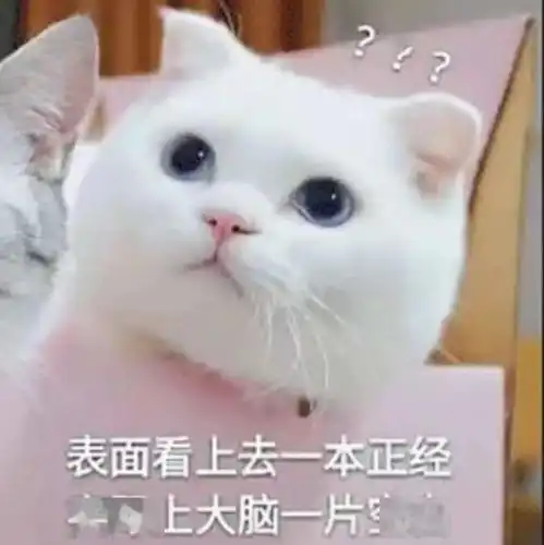 理想的大学生活vs现实的大学生活
