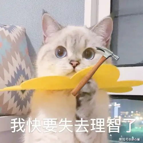 王千源鹿晗新剧有惊喜第一集主角就团灭会玩

