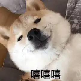 你用过最好用的身体乳是什么
