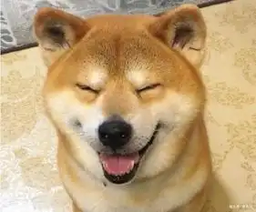 开心笑话商场趣事
