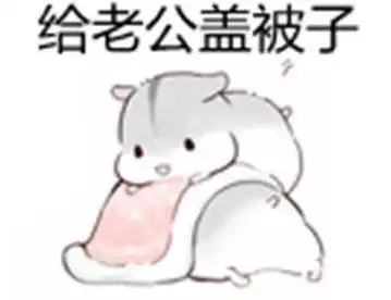 小仓鼠撩老公表情包
