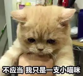 主人吃素38年,让猫狗跟他一辈子也没吃过一口肉...
