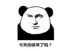前方高能一大波最新练琴表情包来袭,你都看过了吗
