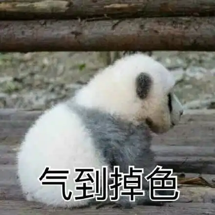 土狗路边瞎溜达,却引起网友注意,这是出门没洗脸吗
