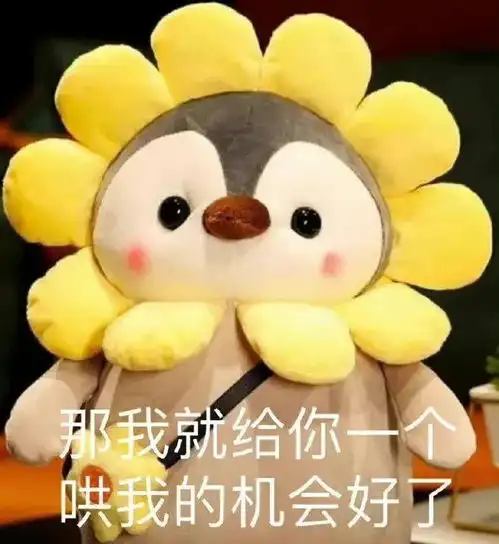 12星座挽回方法大公开
