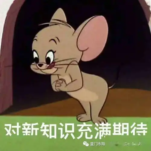 现场直击新店二幼萌娃开学啦
