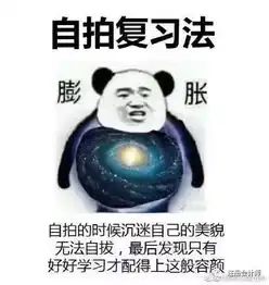 紧张表情包图片复习法