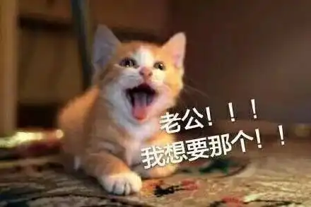 你以为双十一过完就不用剁手了naive