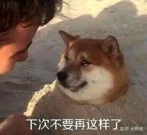巴普洛夫
