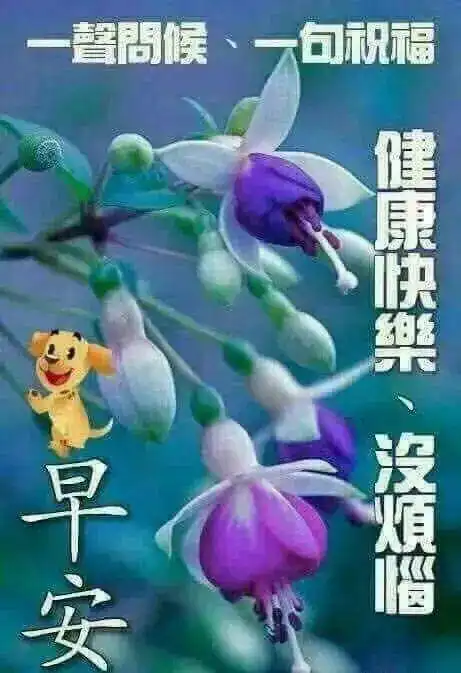 微信群最美早安问候表情图片带字温馨,最新早上好问候祝福语短信
