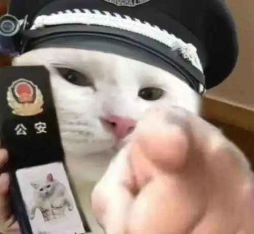 你很得意啊
