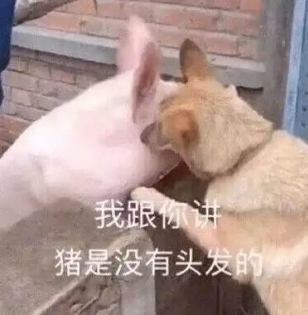 哈哈哈哈哈哈哈,年底了,沙雕小偷又出来冲业绩了......
