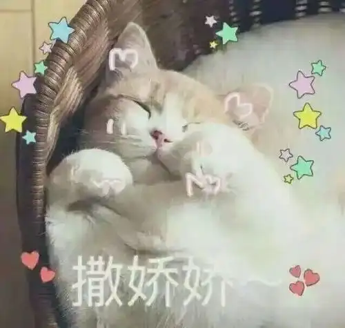 开学必败单价不超过50元的超低预算彩妆品

