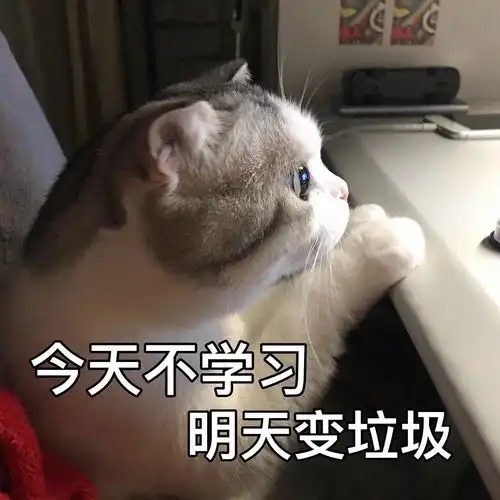 日语教资考试小锦鲤附送备考经验
