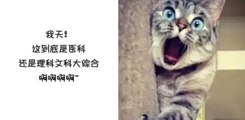 学医前后的表情,总有一张戳中你
