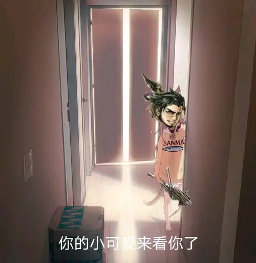 三国杀沙dio图和表情包
